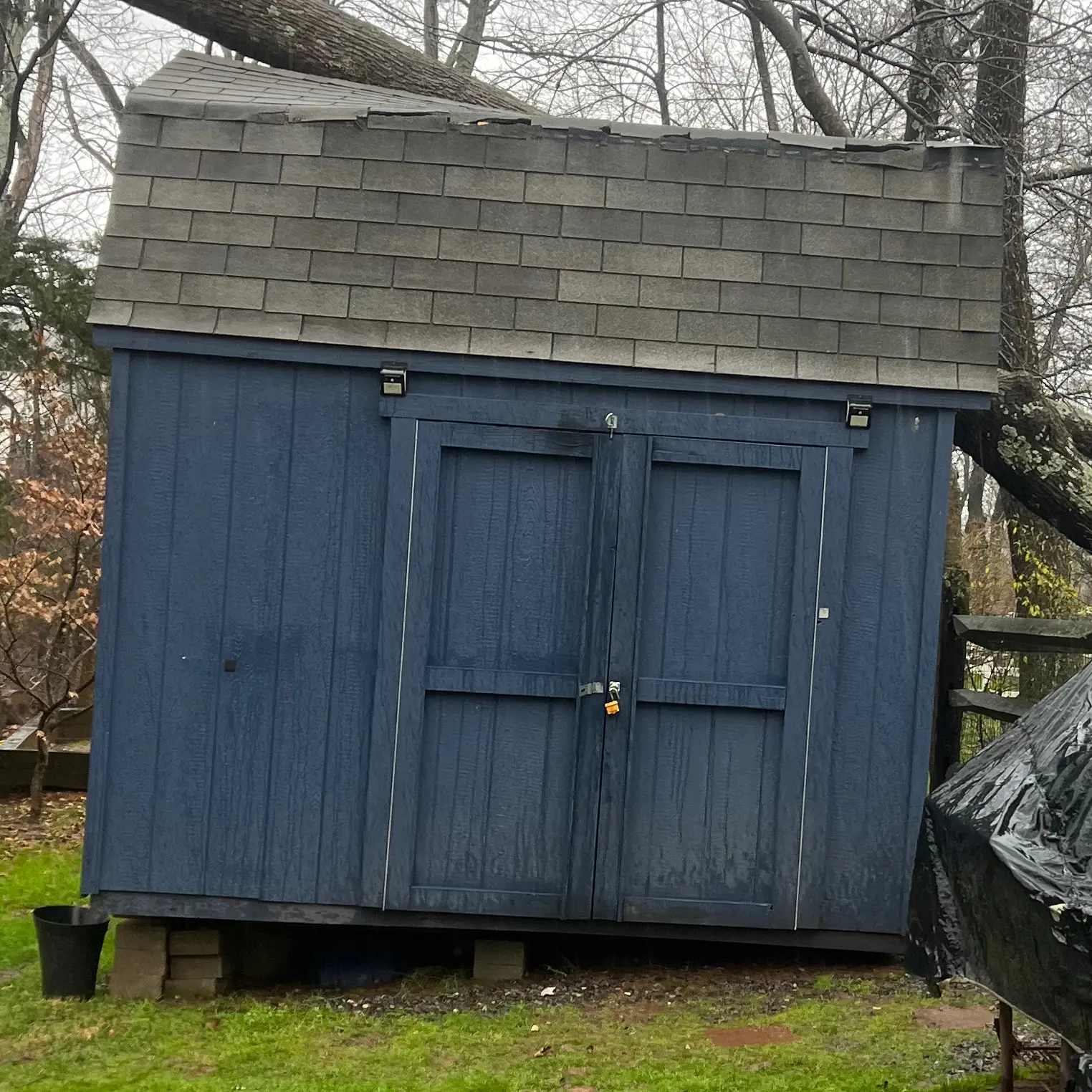 Blue Shed Before